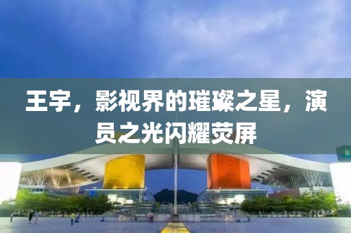 王宇，影视界的璀璨之星，演员之光闪耀荧屏