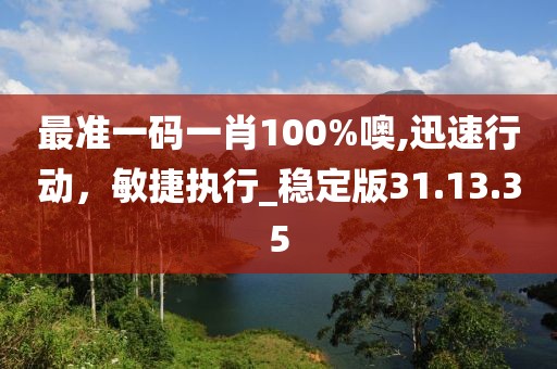 最准一码一肖100%噢,迅速行动，敏捷执行_稳定版31.13.35
