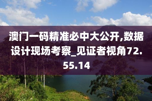 澳门一码精准必中大公开,数据设计现场考察_见证者视角72.55.14