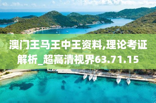 澳门王马王中王资料,理论考证解析_超高清视界63.71.15