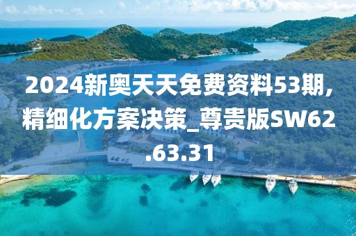 2024新奥天天免费资料53期,精细化方案决策_尊贵版SW62.63.31