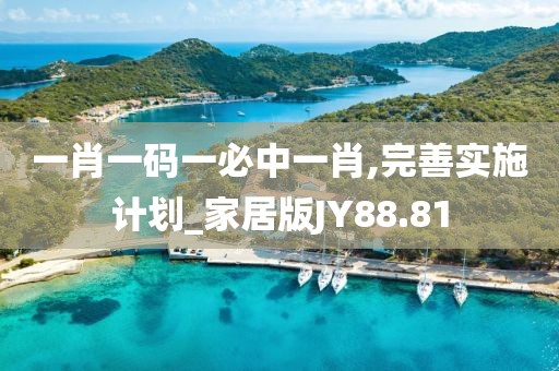 一肖一码一必中一肖,完善实施计划_家居版JY88.81