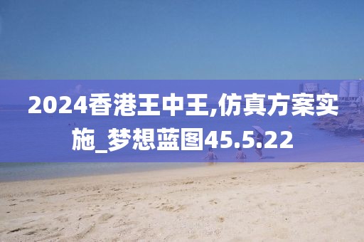 2024香港王中王,仿真方案实施_梦想蓝图45.5.22