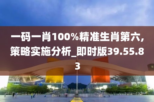 一码一肖100%精准生肖第六,策略实施分析_即时版39.55.83