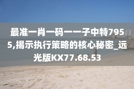 最准一肖一码一一子中特7955,揭示执行策略的核心秘密_远光版KX77.68.53