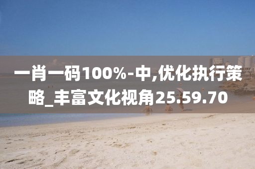 一肖一码100%-中,优化执行策略_丰富文化视角25.59.70
