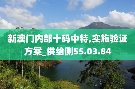 新澳门内部十码中特,实施验证方案_供给侧55.03.84