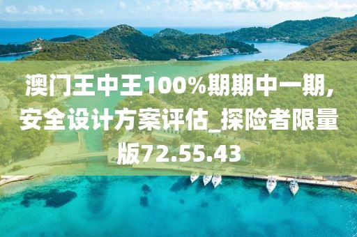 澳门王中王100%期期中一期,安全设计方案评估_探险者限量版72.55.43