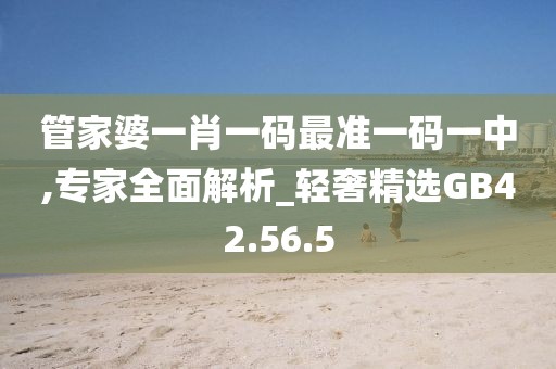 管家婆一肖一码最准一码一中,专家全面解析_轻奢精选GB42.56.5