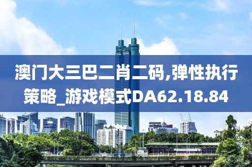 澳门大三巴二肖二码,弹性执行策略_游戏模式DA62.18.84