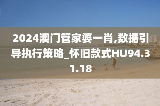 2024澳门管家婆一肖,数据引导执行策略_怀旧款式HU94.31.18