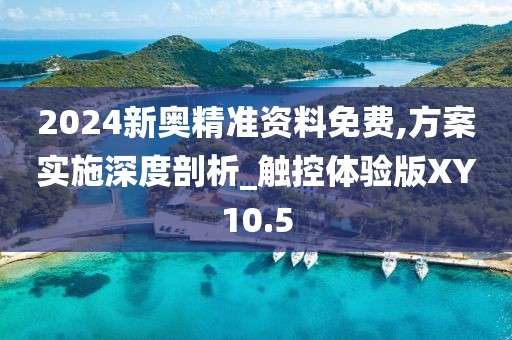 2024新奥精准资料免费,方案实施深度剖析_触控体验版XY10.5