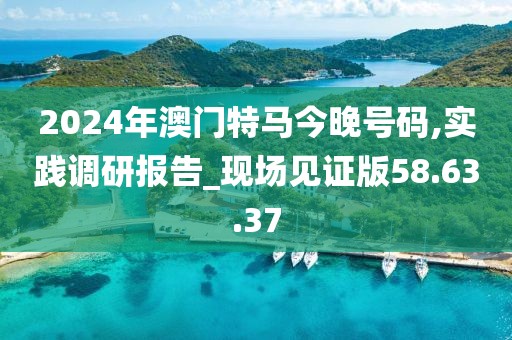 2024年澳门特马今晚号码,实践调研报告_现场见证版58.63.37