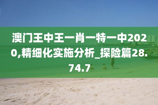 澳门王中王一肖一特一中2020,精细化实施分析_探险篇28.74.7