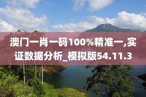 澳门一肖一码100%精准一,实证数据分析_模拟版54.11.3