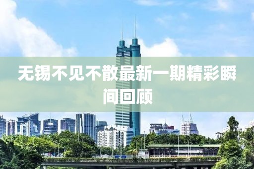 无锡不见不散最新一期精彩瞬间回顾