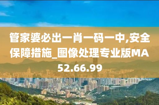 管家婆必出一肖一码一中,安全保障措施_图像处理专业版MA52.66.99