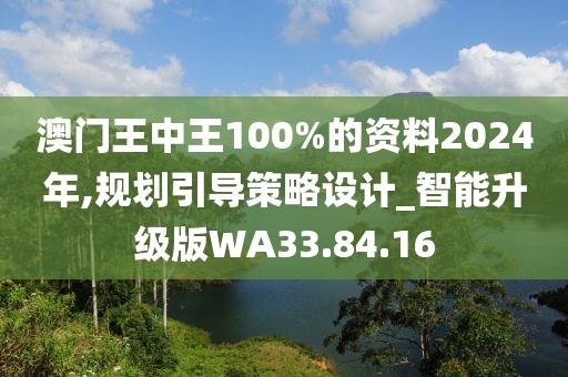 澳门王中王100%的资料2024年,规划引导策略设计_智能升级版WA33.84.16