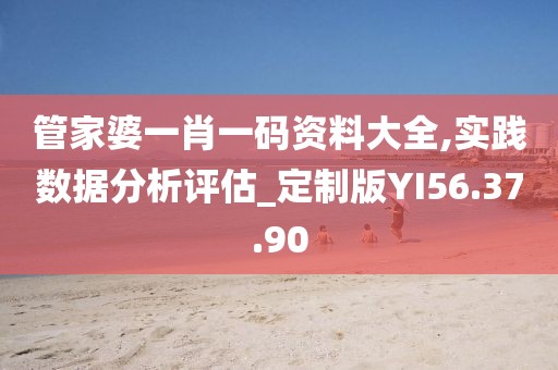管家婆一肖一码资料大全,实践数据分析评估_定制版YI56.37.90