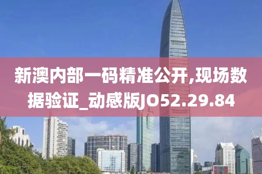 新澳内部一码精准公开,现场数据验证_动感版JO52.29.84