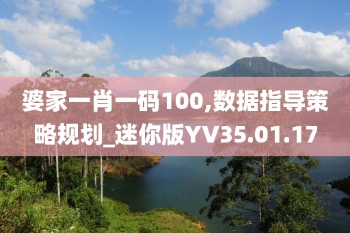 婆家一肖一码100,数据指导策略规划_迷你版YV35.01.17