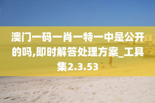 澳门一码一肖一特一中是公开的吗,即时解答处理方案_工具集2.3.53