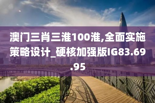 澳门三肖三淮100淮,全面实施策略设计_硬核加强版IG83.69.95