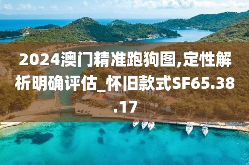 2024澳门精准跑狗图,定性解析明确评估_怀旧款式SF65.38.17