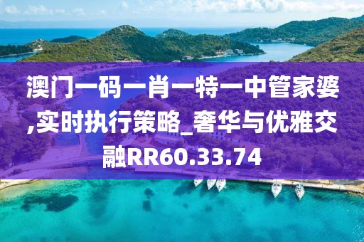 澳门一码一肖一特一中管家婆,实时执行策略_奢华与优雅交融RR60.33.74