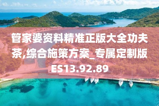 管家婆资料精准正版大全功夫茶,综合施策方案_专属定制版ES13.92.89