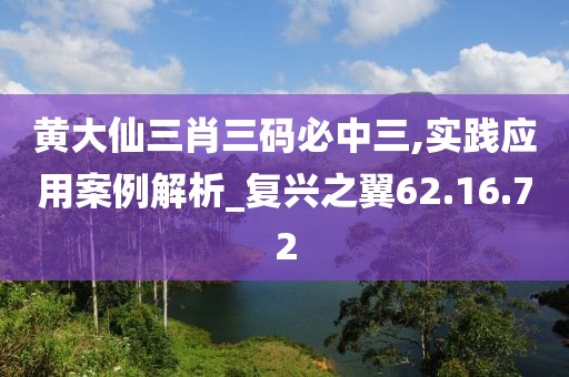 黄大仙三肖三码必中三,实践应用案例解析_复兴之翼62.16.72