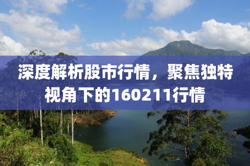 深度解析股市行情，聚焦独特视角下的160211行情