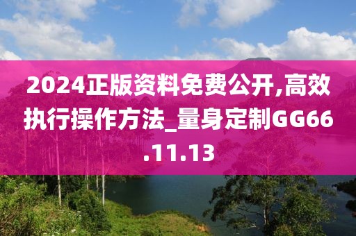 2024正版资料免费公开,高效执行操作方法_量身定制GG66.11.13