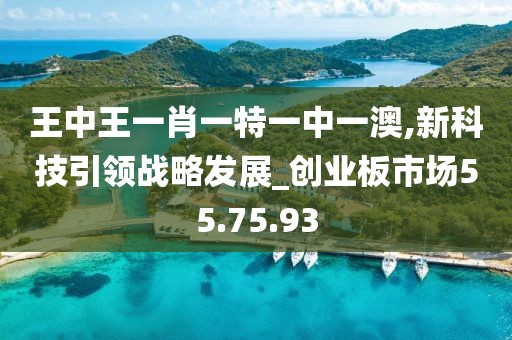王中王一肖一特一中一澳,新科技引领战略发展_创业板市场55.75.93