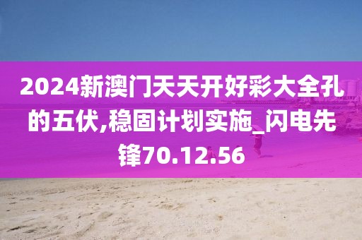 2024新澳门天天开好彩大全孔的五伏,稳固计划实施_闪电先锋70.12.56