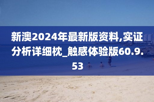 新澳2024年最新版资料,实证分析详细枕_触感体验版60.9.53