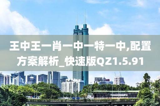 王中王一肖一中一特一中,配置方案解析_快速版QZ1.5.91
