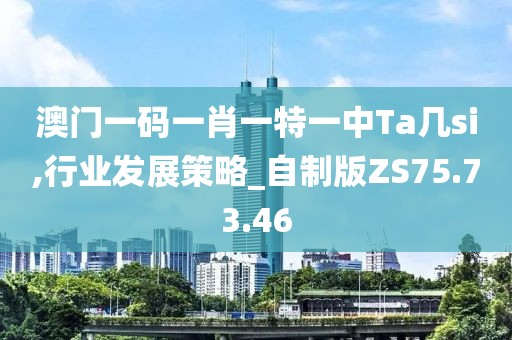 澳门一码一肖一特一中Ta几si,行业发展策略_自制版ZS75.73.46