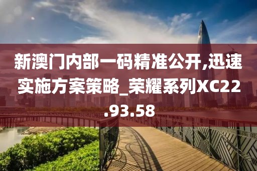 新澳门内部一码精准公开,迅速实施方案策略_荣耀系列XC22.93.58