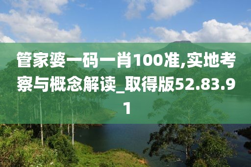 管家婆一码一肖100准,实地考察与概念解读_取得版52.83.91