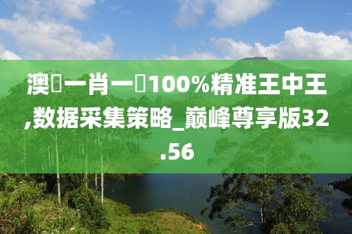 澳門一肖一碼100%精准王中王,数据采集策略_巅峰尊享版32.56