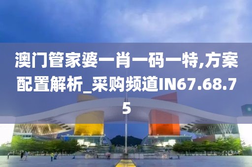 澳门管家婆一肖一码一特,方案配置解析_采购频道IN67.68.75