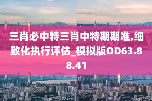 三肖必中特三肖中特期期准,细致化执行评估_模拟版OD63.88.41