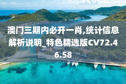 澳门三期内必开一肖,统计信息解析说明_特色精选版CV72.46.58