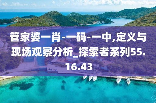 管家婆一肖-一码-一中,定义与现场观察分析_探索者系列55.16.43