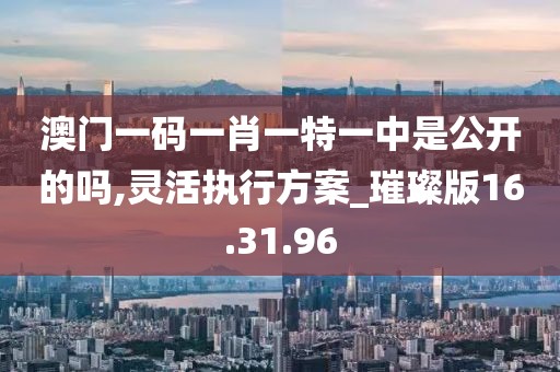 澳门一码一肖一特一中是公开的吗,灵活执行方案_璀璨版16.31.96