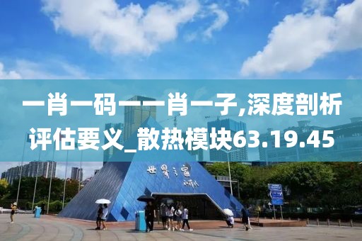 一肖一码一一肖一子,深度剖析评估要义_散热模块63.19.45