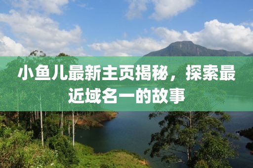 小鱼儿最新主页揭秘，探索最近域名一的故事