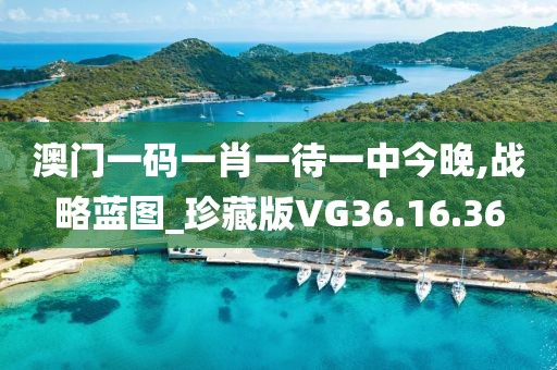 澳门一码一肖一待一中今晚,战略蓝图_珍藏版VG36.16.36