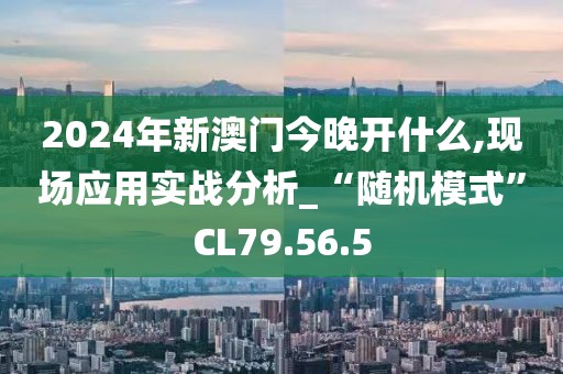 2024年新澳门今晚开什么,现场应用实战分析_“随机模式”CL79.56.5